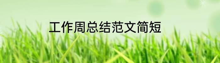 工作周总结范文简短