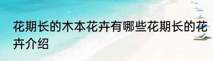 花期长的木本花卉有哪些花期长的花卉介绍