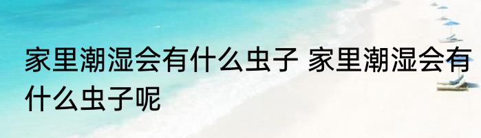 家里潮湿会有什么虫子 家里潮湿会有什么虫子呢