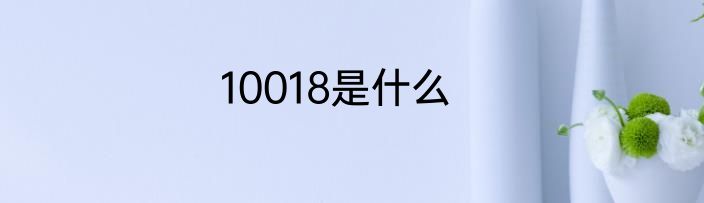 10018是什么