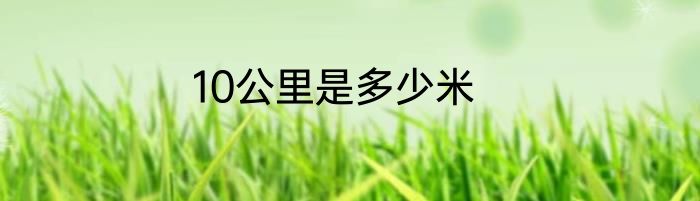 10公里是多少米