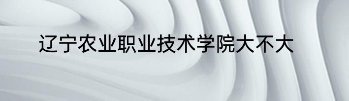 辽宁农业职业技术学院大不大