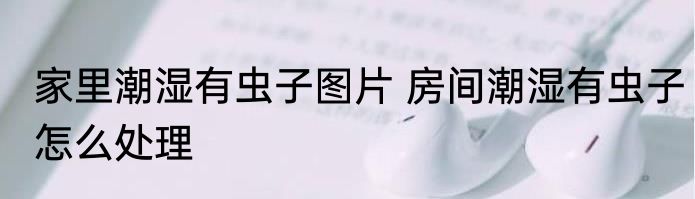 家里潮湿有虫子图片 房间潮湿有虫子怎么处理