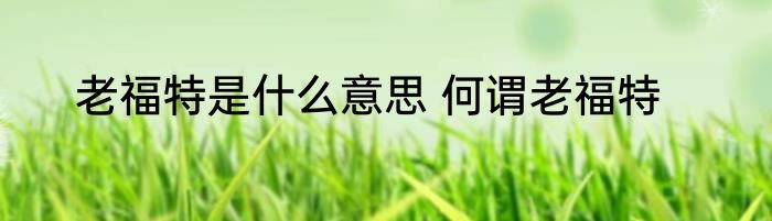 老福特是什么意思 何谓老福特