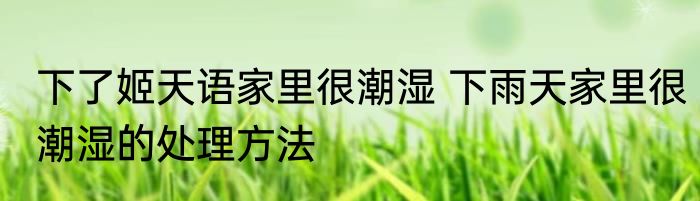 下了姬天语家里很潮湿 下雨天家里很潮湿的处理方法