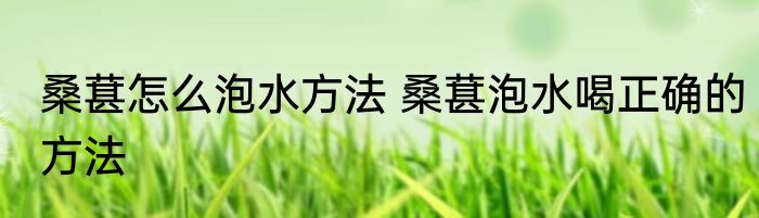 桑葚怎么泡水方法 桑葚泡水喝正确的方法