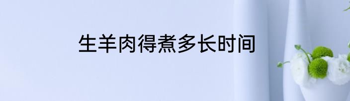 生羊肉得煮多长时间