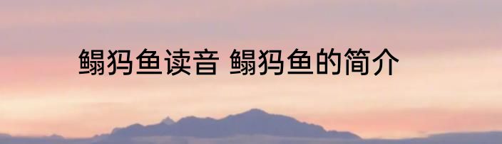 鳎犸鱼读音 鳎犸鱼的简介