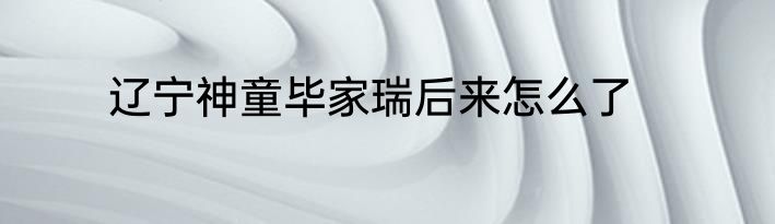 辽宁神童毕家瑞后来怎么了