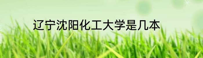 辽宁沈阳化工大学是几本