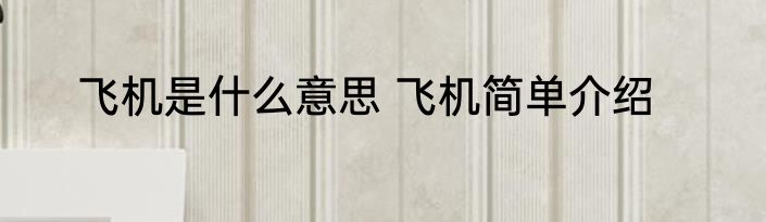 飞机是什么意思 飞机简单介绍