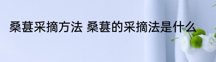桑葚采摘方法 桑葚的采摘法是什么