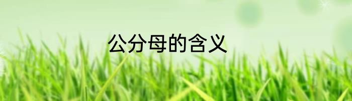 公分母的含义