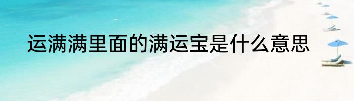 运满满里面的满运宝是什么意思