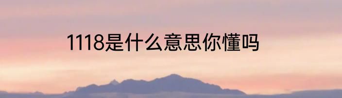 1118是什么意思你懂吗