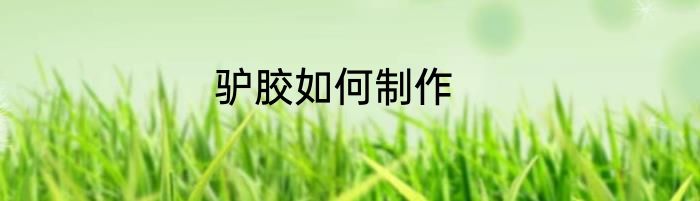 驴胶如何制作