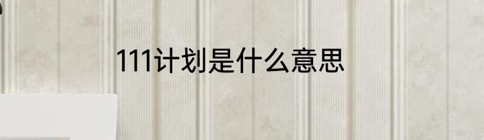 111计划是什么意思