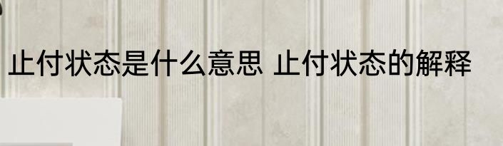 止付状态是什么意思 止付状态的解释
