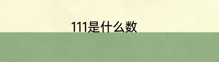 111是什么数