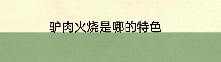 驴肉火烧是哪的特色