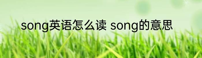 song英语怎么读 song的意思