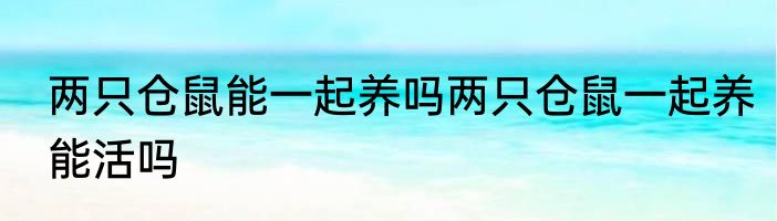 两只仓鼠能一起养吗两只仓鼠一起养能活吗