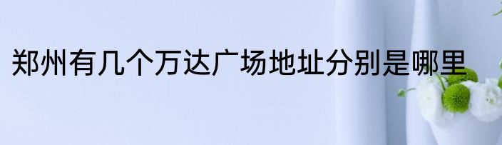 郑州有几个万达广场地址分别是哪里