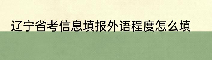 辽宁省考信息填报外语程度怎么填