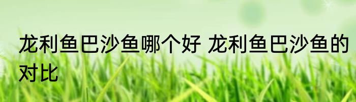 龙利鱼巴沙鱼哪个好 龙利鱼巴沙鱼的对比