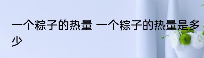 一个粽子的热量 一个粽子的热量是多少