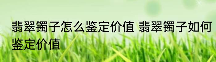 翡翠镯子怎么鉴定价值 翡翠镯子如何鉴定价值