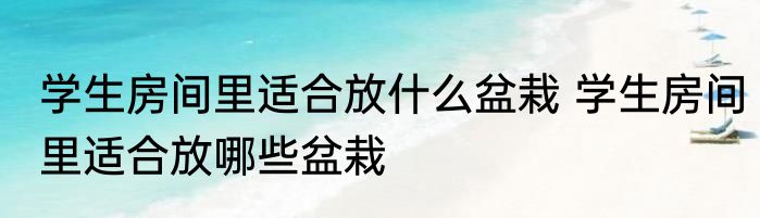 学生房间里适合放什么盆栽 学生房间里适合放哪些盆栽