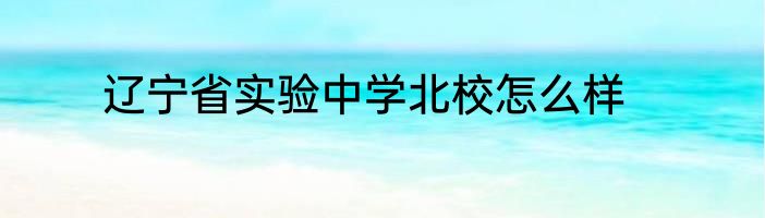 辽宁省实验中学北校怎么样