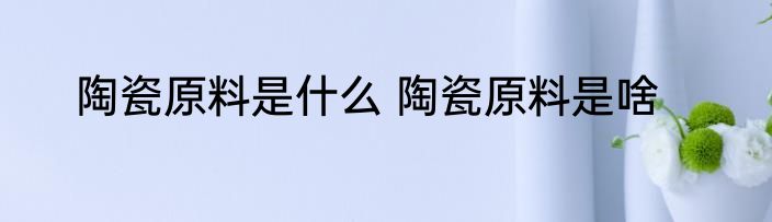 陶瓷原料是什么 陶瓷原料是啥