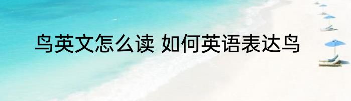 鸟英文怎么读 如何英语表达鸟