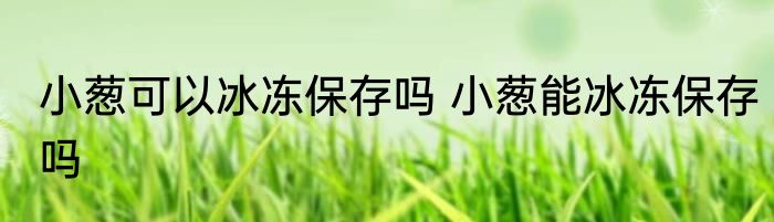 小葱可以冰冻保存吗 小葱能冰冻保存吗