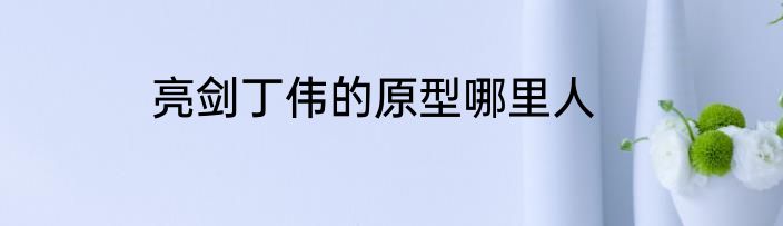 亮剑丁伟的原型哪里人