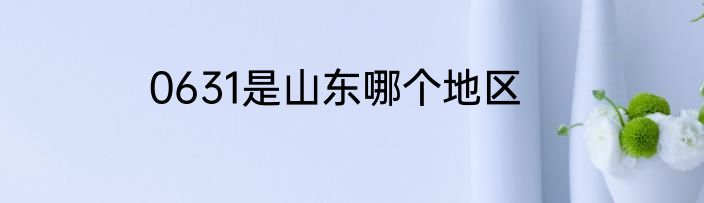0631是山东哪个地区