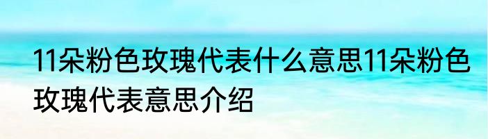 11朵粉色玫瑰代表什么意思11朵粉色玫瑰代表意思介绍