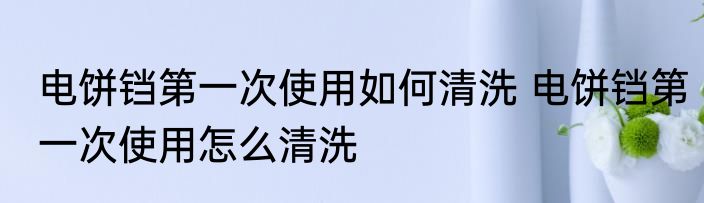 电饼铛第一次使用如何清洗 电饼铛第一次使用怎么清洗