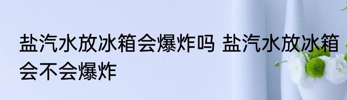 盐汽水放冰箱会爆炸吗 盐汽水放冰箱会不会爆炸