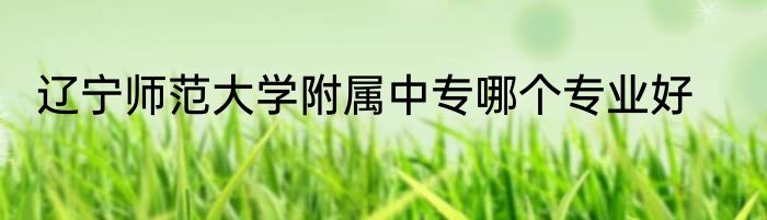 辽宁师范大学附属中专哪个专业好