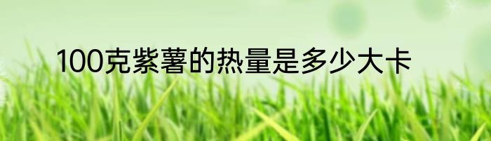 100克紫薯的热量是多少大卡