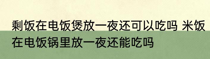 剩饭在电饭煲放一夜还可以吃吗 米饭在电饭锅里放一夜还能吃吗