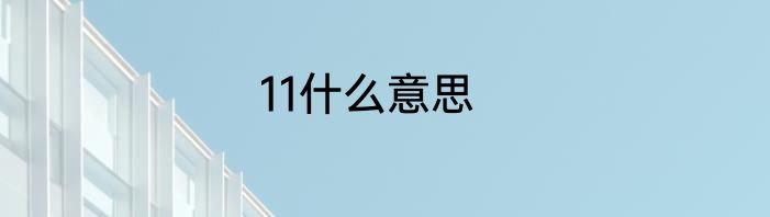 11什么意思