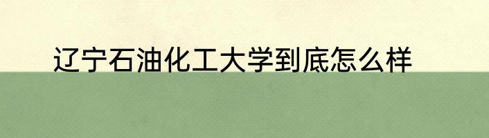辽宁石油化工大学到底怎么样