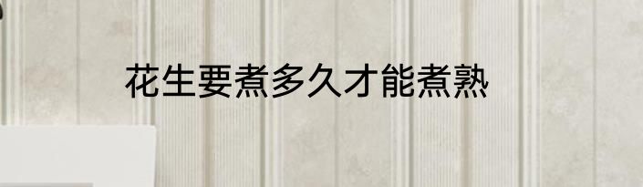 花生要煮多久才能煮熟