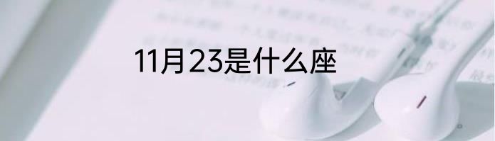 11月23是什么座