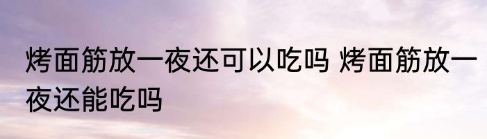 烤面筋放一夜还可以吃吗 烤面筋放一夜还能吃吗