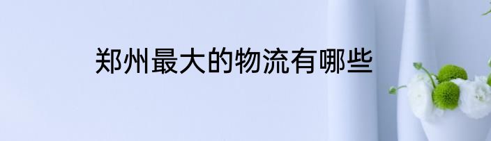 郑州最大的物流有哪些